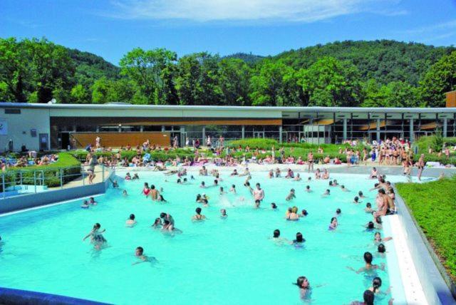 Maison Piscine Βίλα Saint-Amarin Εξωτερικό φωτογραφία